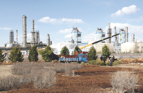 绿茵直播体育免费观看